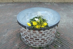 Image17