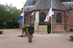 Image7